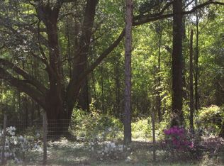 403 Topper St, Interlachen, FL 32148