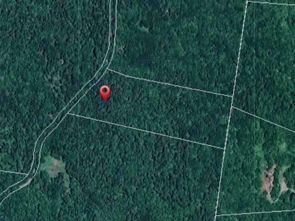 00 Chaos Turnpike, Cavendish, VT 05142