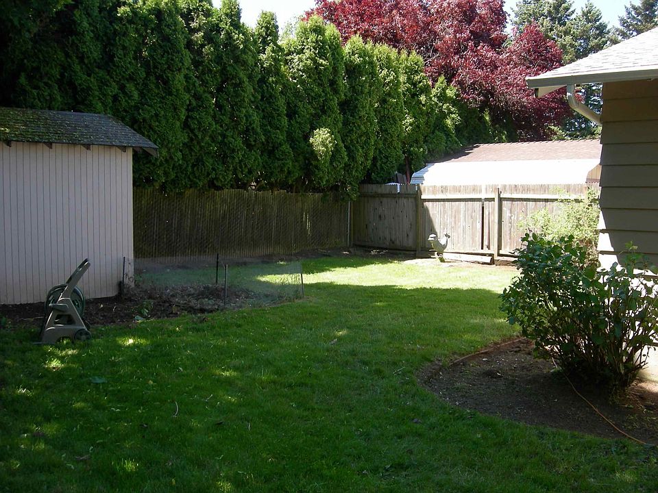 Back yard