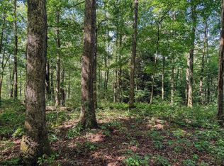 Whitewater Pkwy, Bruceton Mills, WV 26525