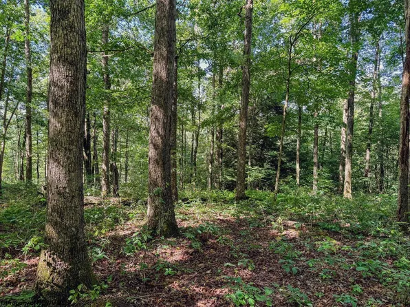 Whitewater Pkwy, Bruceton Mills, WV 26525