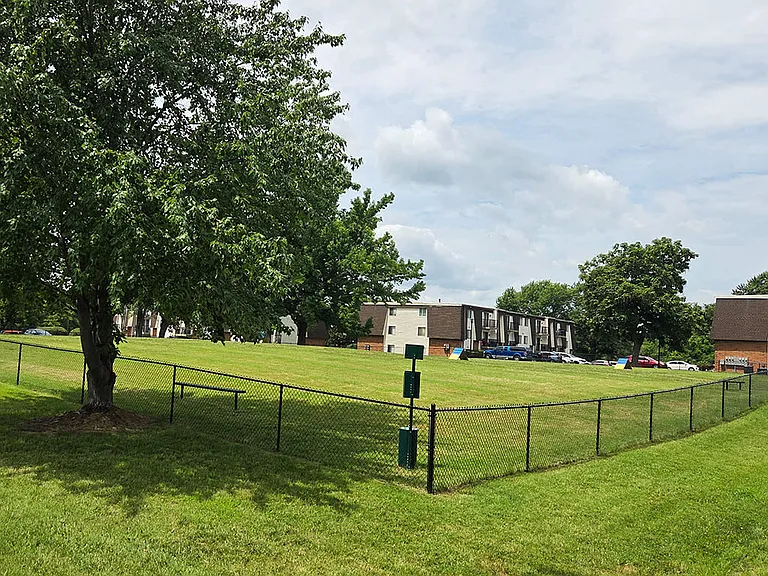 Enclosed Dog Park with Shade and Seating
