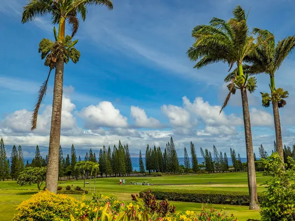 301 Plantation Estates Dr, Lahaina, HI 96761