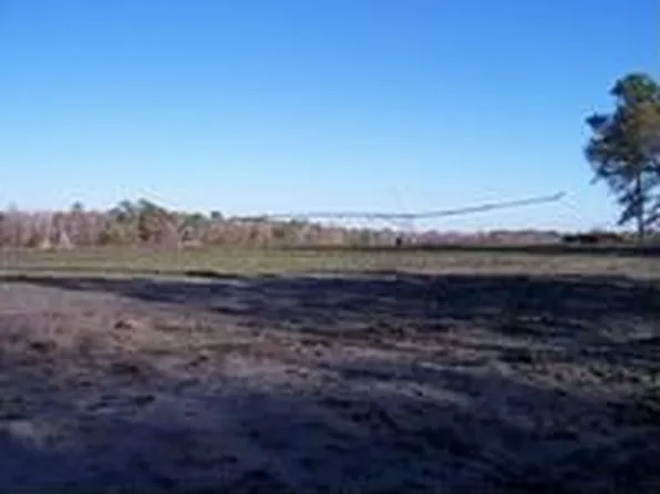 188 Saffron Cir, Mershon, GA 31551