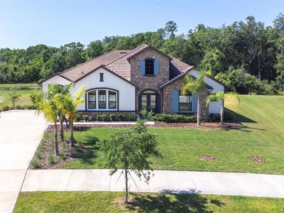 2819 Cordoba Ranch Blvd, Lutz, FL, 33559