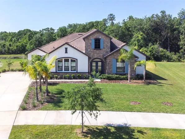 2819 Cordoba Ranch Blvd, Lutz, FL 33559