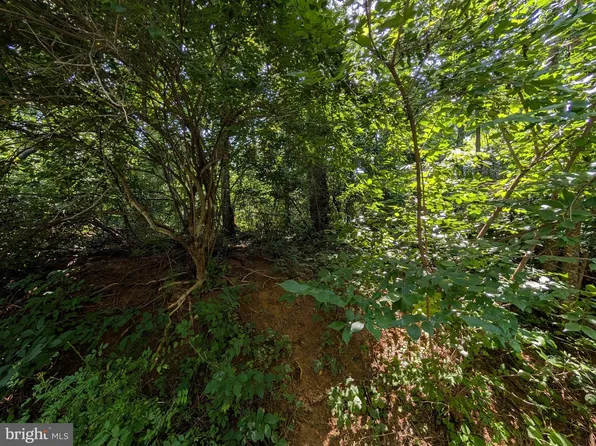 Lots 1 2 Blackbird, Front Royal, VA 22630
