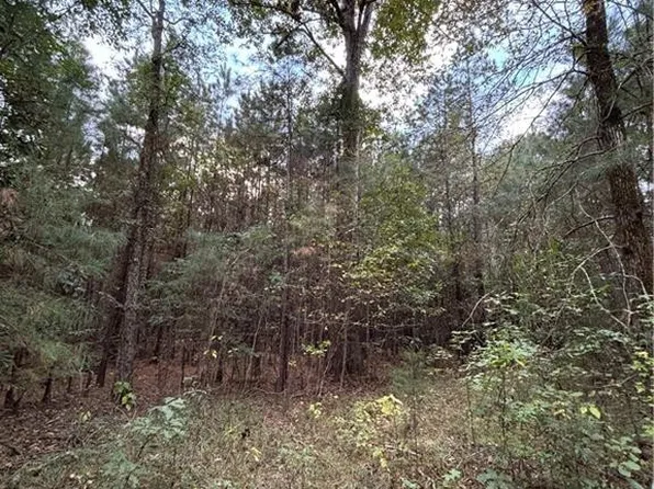 350 Walker Gravel Pit Rd, Dry Prong, LA 71423