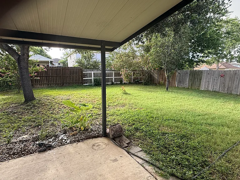 7254 Dwarf Palm — Photo 14