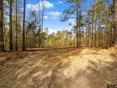 19178 County Road 2154 Lot 3&4, Troup, TX, 75789