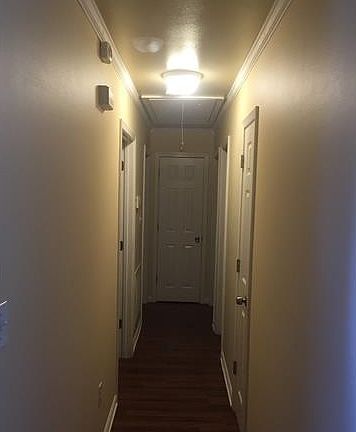 2041745_5