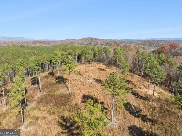 0 Sand Pit Rd, Summerville, GA 30747