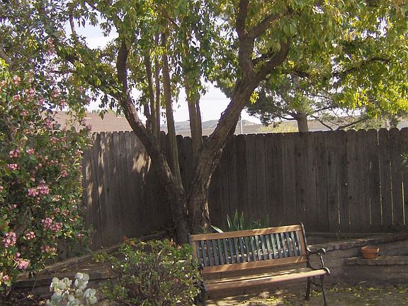 Tranquil backyard