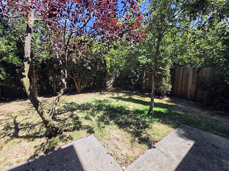 1406 Yukon St — Photo 49