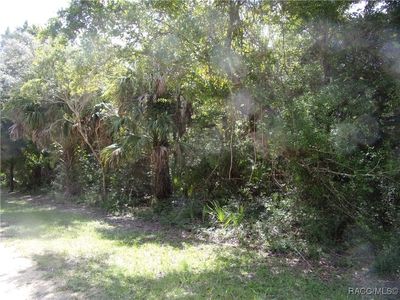 0 Azalee Ave, Inglis, FL, 34449