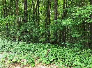 Winchell Rd, Mantua, OH 44255