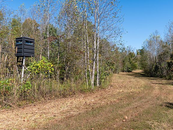 2nd image of 1036 Mason Bates Bend Rd