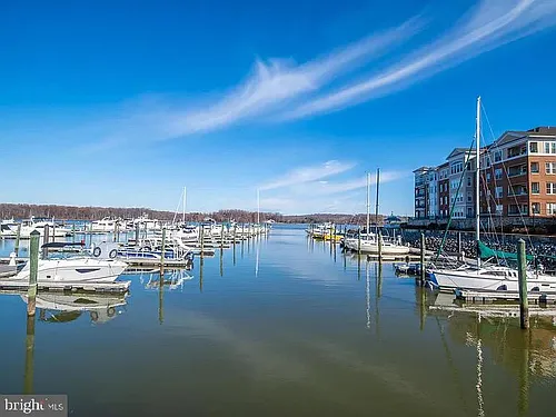 500 Belmont Bay Dr Photo 1