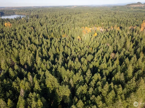 0 Bald Hills Road, Yelm, WA 98597