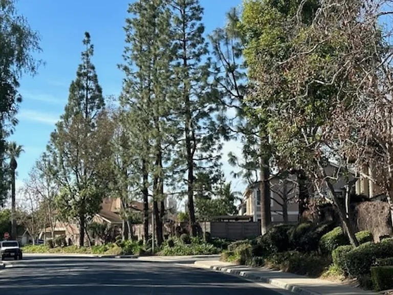 923 Lotus Cir — Photo 30