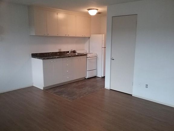 Living room/Kitchen