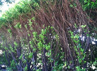 1909 NE 98th St, Seattle, WA 98115