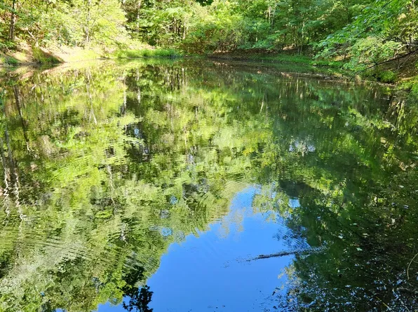 0 Old Schoolhouse Rd Lot 1, Nunnelly, TN 37137