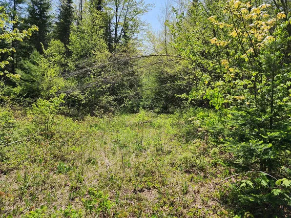 Lot 14 Poland Road, Milton Twp, ME 04219