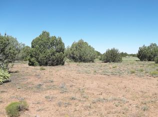 4572 S Indian Bend Rd, Snowflake, AZ 85937