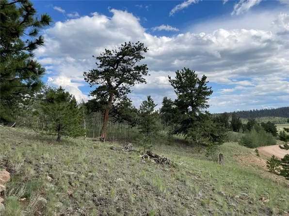 950 McDowell Dr, Como, CO 80432