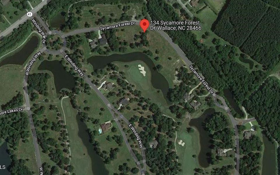 2nd image of 134 Sycamore Forest Dr