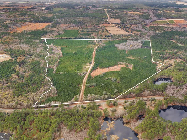 0 Jacob Wilkinson Cir, Claxton, GA 30417