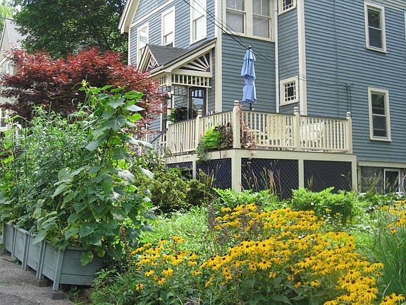 Summer garden from street