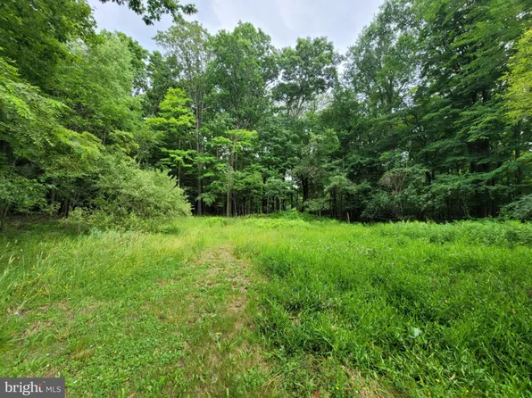 Viola Pike, Smithmill, PA 16680