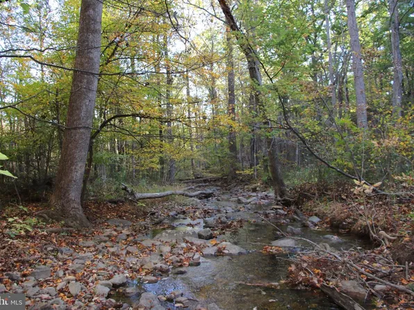 Wardensville Grade, Star Tannery, VA 22654