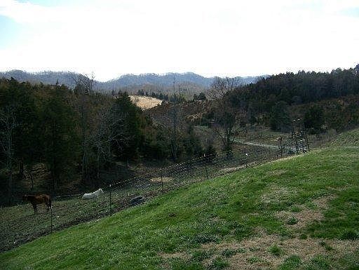 3rd image of 8397 Highway 66 N