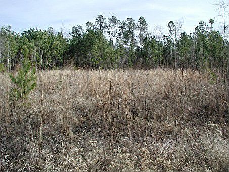 2nd image of 62 Catawba Timber Rd
