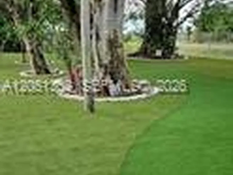17575 SW 280th St #1 — Photo 24