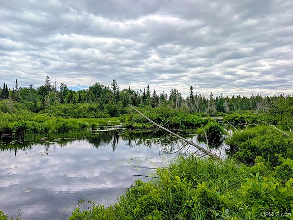 3rd image of Net River Rd