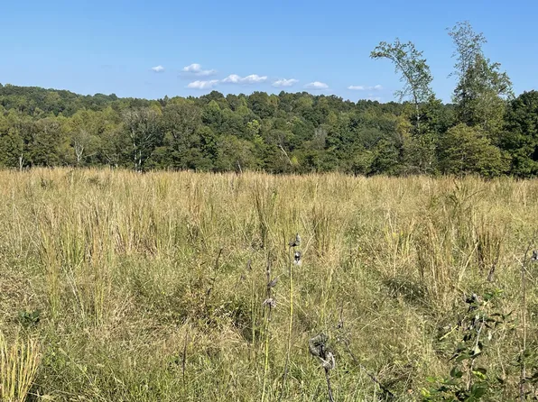 0 Oak Grove Rd Lot 4, Red Boiling Springs, TN 37150