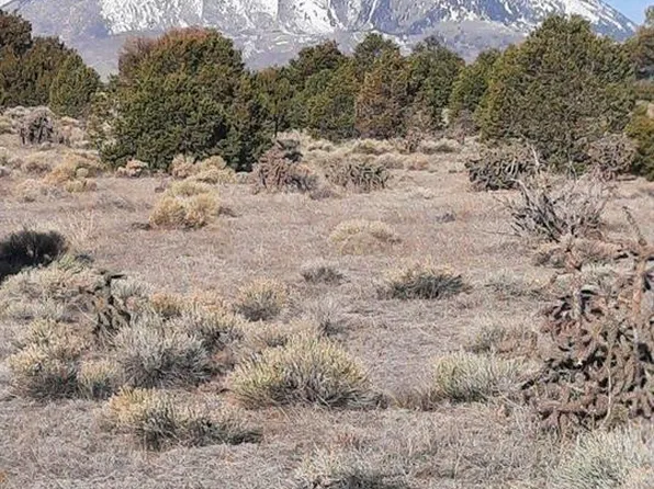 185 Black Hills #1, Walsenburg, CO 81089