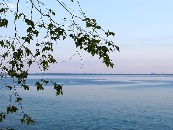 5th image of 15692 Shoreline Ct