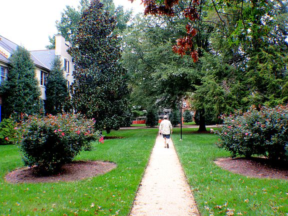 sidewalk from Washington Ave
