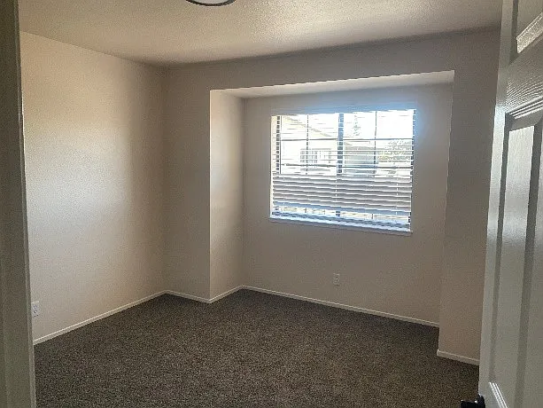 431 Baron Ct — Photo 3