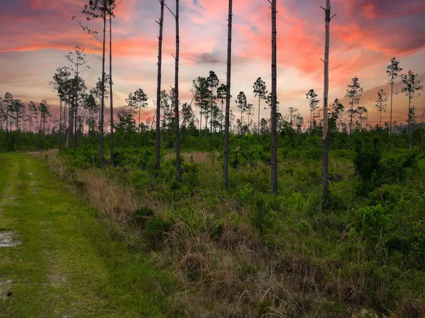 LOT 50 Circle Block Loop, Perry, FL 32348