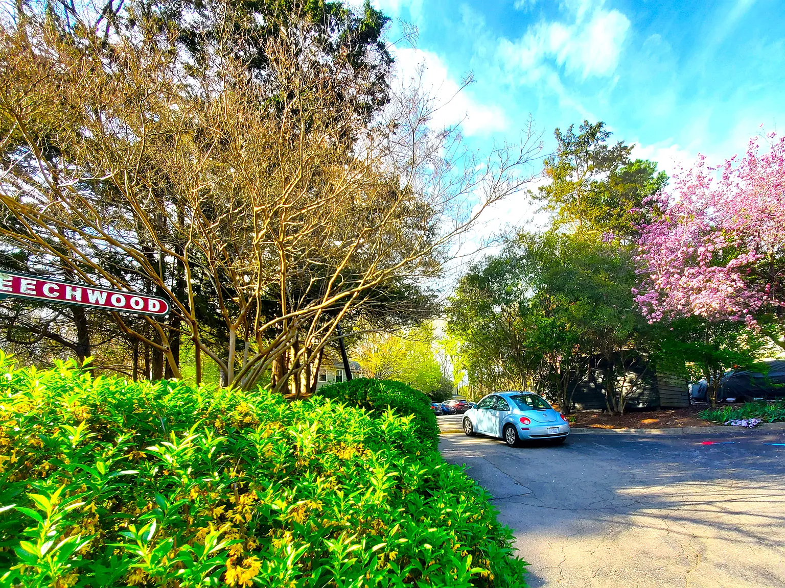 2 bed, 1.5 bath, 995 sqft, $1,390 — Photo 4