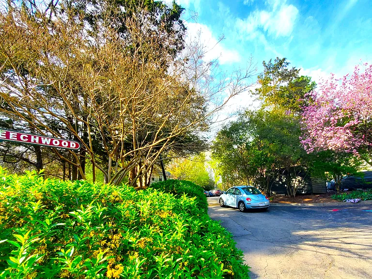112 Beechwood Dr — Photo 4