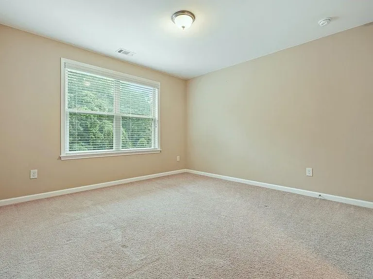 1010 Chelsey Way — Photo 37