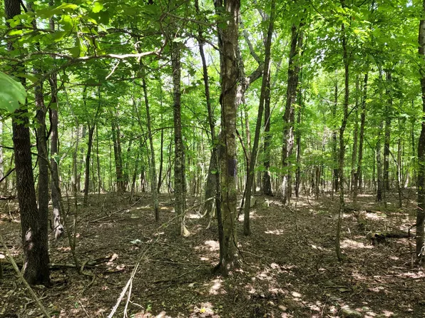 0 Sewanee Summit Rd #3&4, Decherd, TN 37324