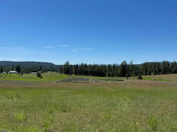 4091 Jepsen Rd, Springdale, WA 99173